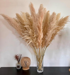 15 Stück 100cm Große, natürliche &amp; flauschige Trockenblumenstrauß Pampasgras 