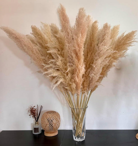 15 Stück 100cm Große, natürliche &amp; flauschige Trockenblumenstrauß Pampasgras 