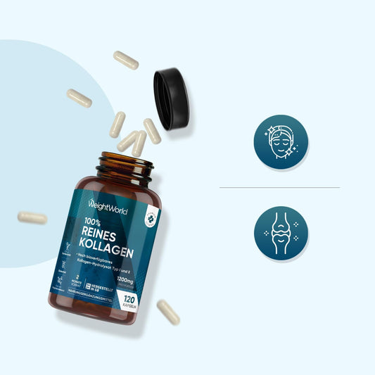 Weightworld Naticol Kollagenkapseln, 1170 mg, reines Meereskollagen, 120 Kapseln, Hydrolysat, laborgeprüft in Deutschland, mit reinem Kollagenproteinpulver 