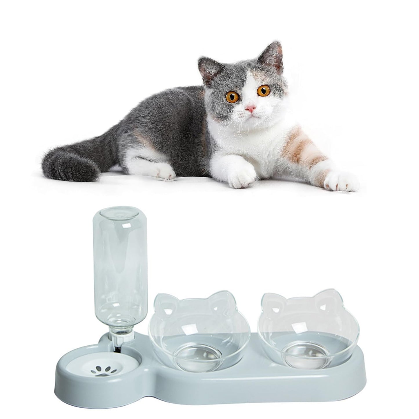 Katzennapf-Set mit Wasserspender | Automatischer Trinkbrunnen für Katzen und Hunde 