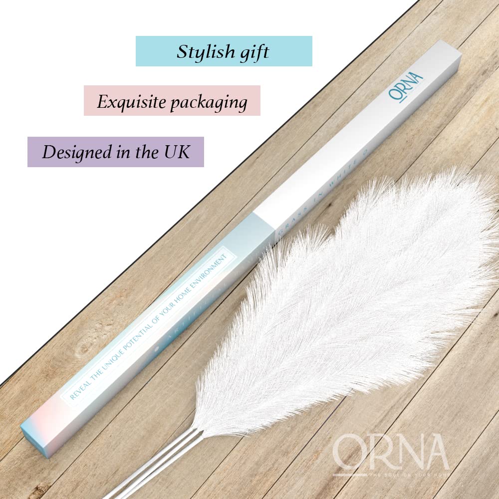 ORNA Künstliches Pampasgras, künstliche Blume, lange Zweige, extra flauschig, 114 cm hoch (3 Stängel x 20 Zweige) für moderne Wohndekoration 