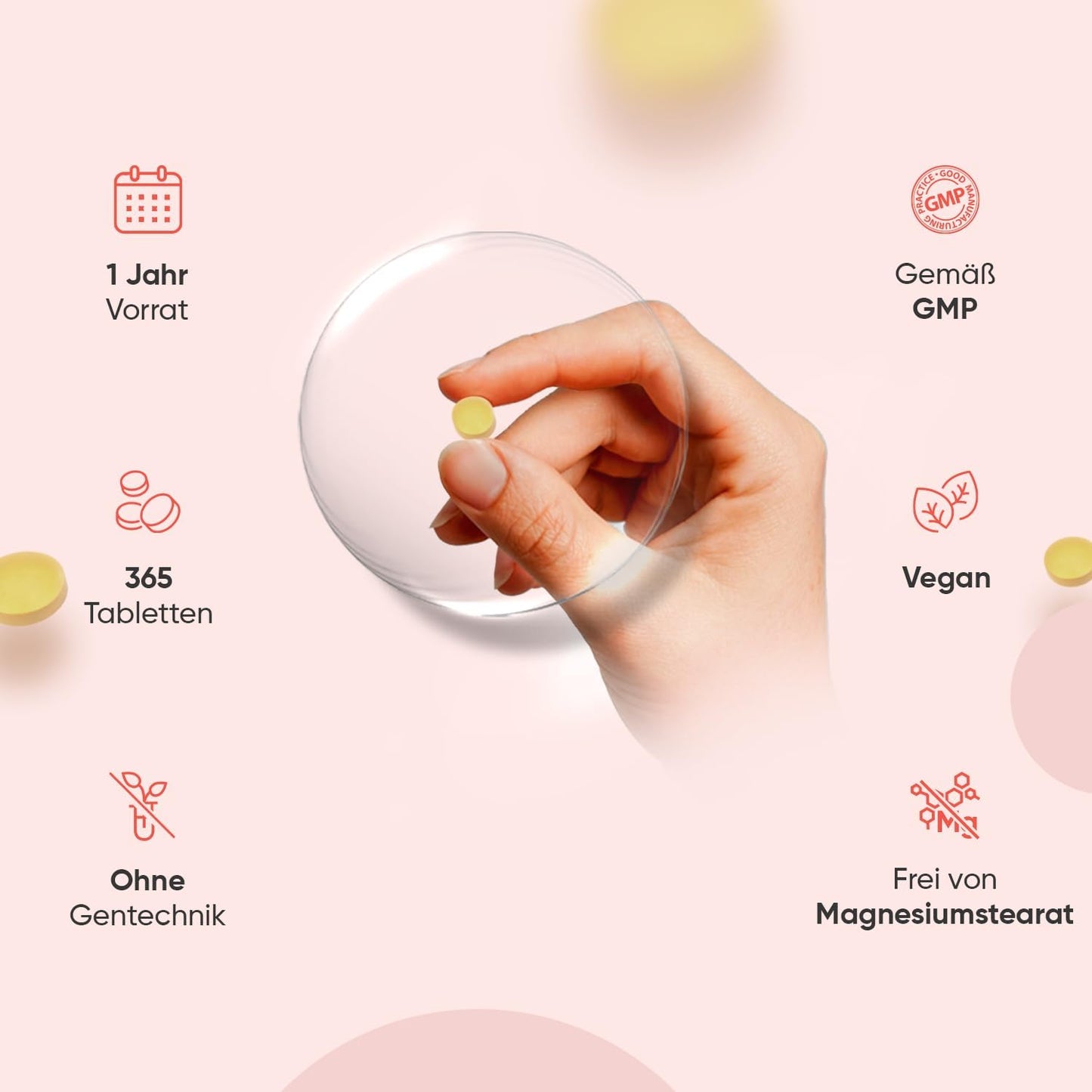 Vitamin-B-Komplex – mit Vitamin C – 365 Tabletten – Alle 8 B-Vitamine (B1, B2, B3, B5, B6, B7, B9, B12) – Jahresvorrat – Nervensystem, Stoffwechsel, geistige Funktion – Niacin, Biotin, Folsäure 