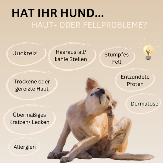 Haut- und Felltropfen mit Algenöl für Hunde, 100 % natürlich 