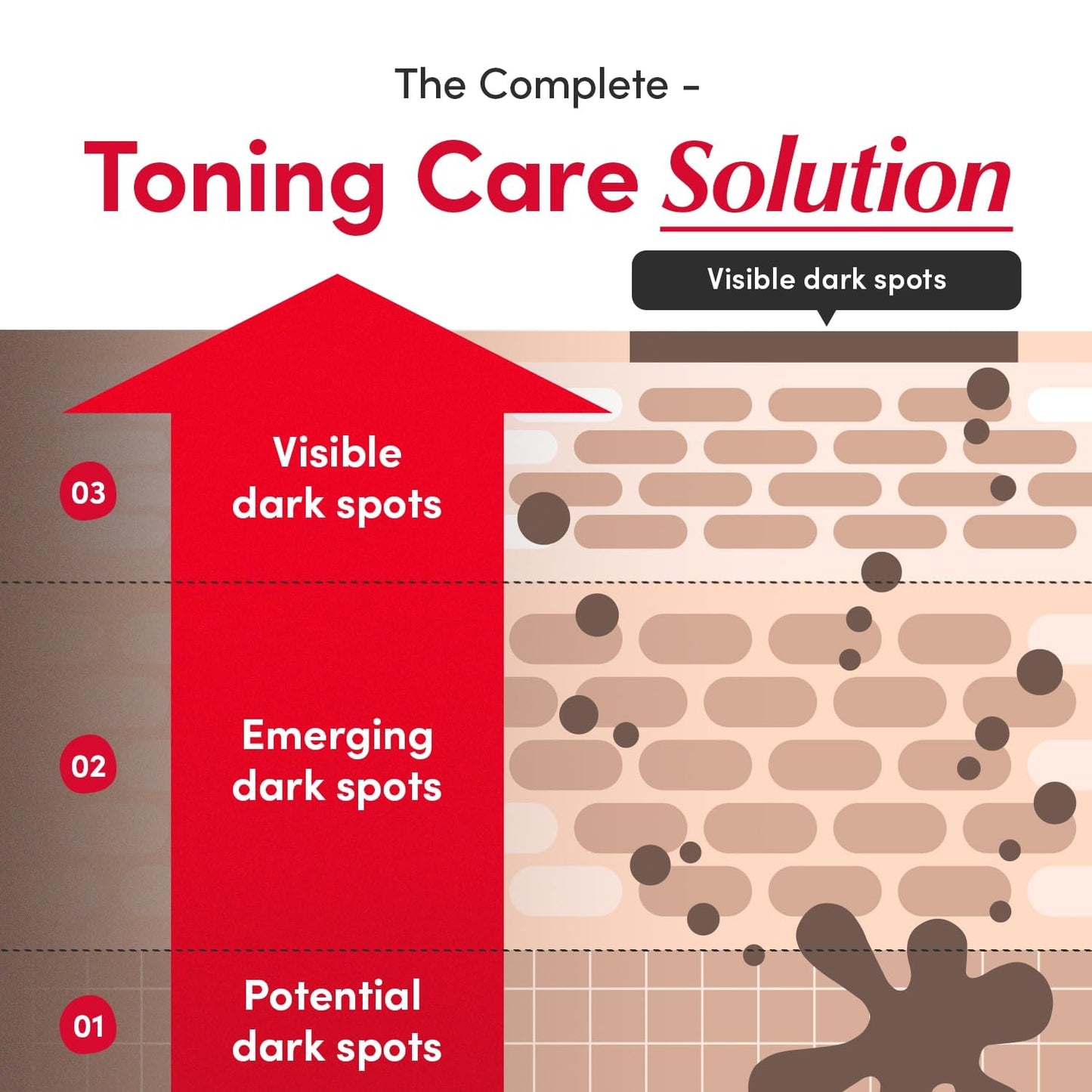 EQQUALBERRY Vitamin C Illuminating Serum – Aufhellendes Serum mit Acerola und Niacinamid, stärkt die Hautbarriere, spendet Feuchtigkeit mit Ceramiden und Hyaluronsäure, 30 ml 