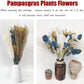Getrocknetes Pampasgras, 60 Stück, natürliche Trockenblumen zur Dekoration, Schilfblumenstrauß 