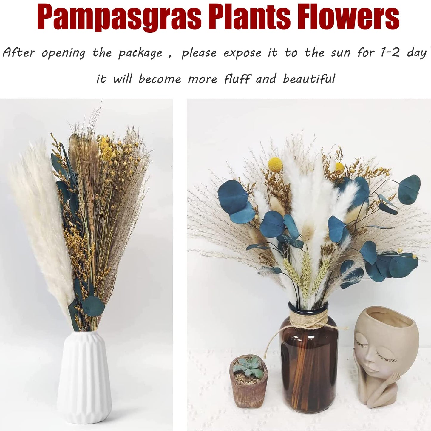 Getrocknetes Pampasgras, 60 Stück, natürliche Trockenblumen zur Dekoration, Schilfblumenstrauß 