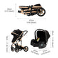 Reenborn 3-in-1 Kinderwagen, Buggy mit zwei umkehrbaren Schiebemodi, Kinderwagen mit Gestell aus Aluminiumlegierung, Babywagen, 3-in-1 Komplettset mit Ein-Klick-Faltmechanismus 