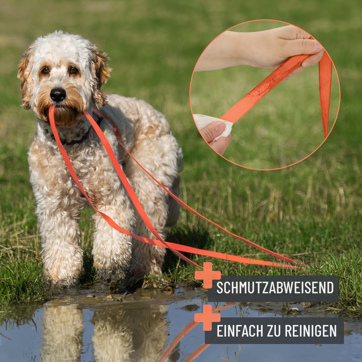 Schleppleine für Hunde 5 Meter, Schwarz I Robuste &amp; wasserfeste Hundeleine lang I Übungsleine mit Griff 