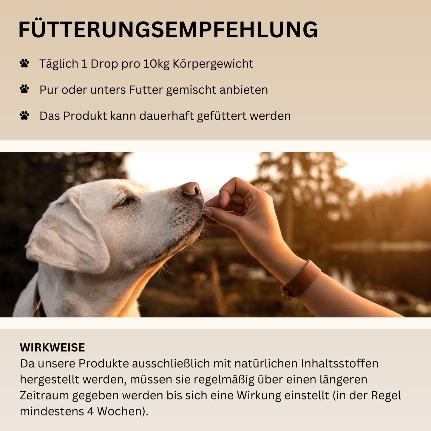 Haut- und Felltropfen mit Algenöl für Hunde, 100 % natürlich 