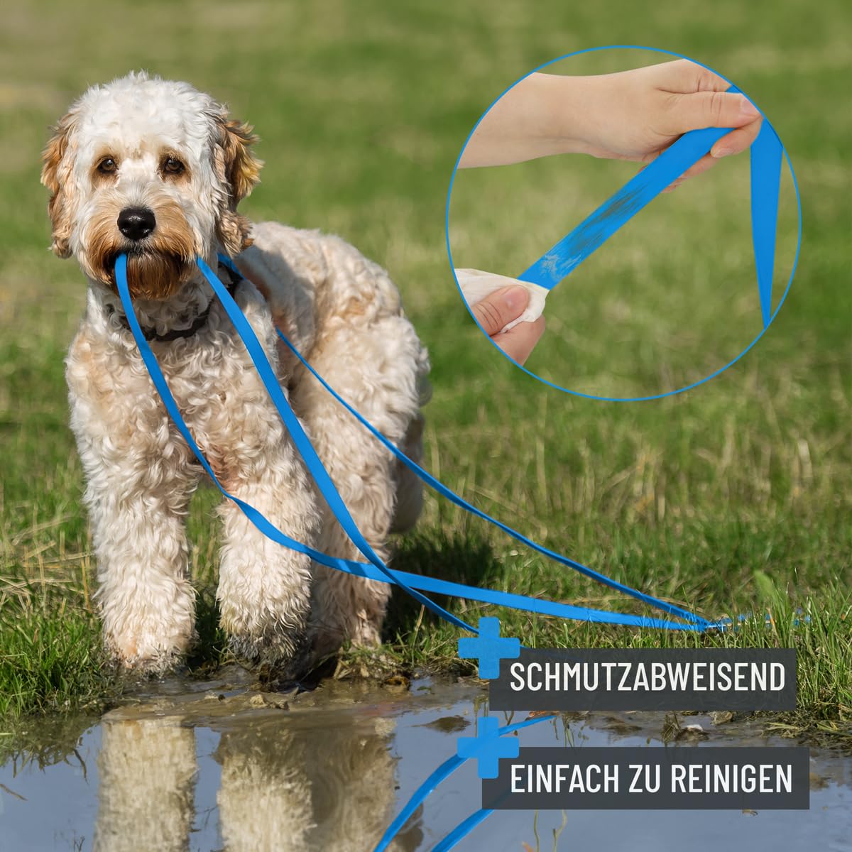 Schleppleine für Hunde 5 Meter, Schwarz I Robuste &amp; wasserfeste Hundeleine lang I Übungsleine mit Griff 
