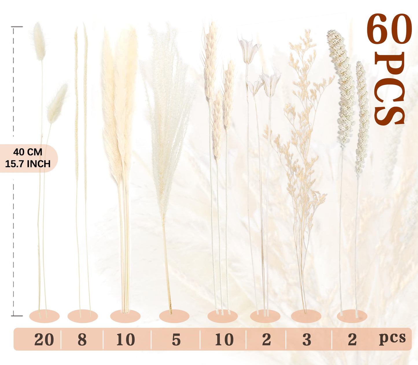 Pampasgras Getrocknet - Natürlich, Braun, Trockenblumen Strauß Dried Flowers, für Heim Decor 