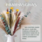 Getrocknetes Pampasgras, 60 Stück, natürliche Trockenblumen zur Dekoration, Schilfblumenstrauß 