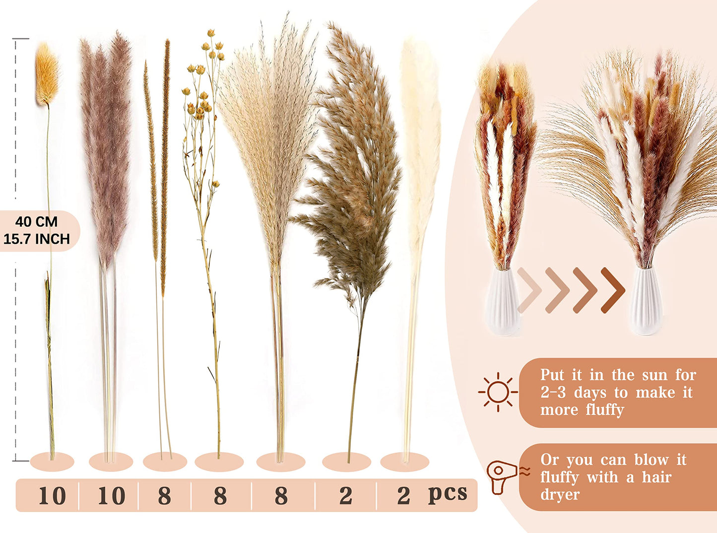Pampasgras Getrocknet - Natürlich, Braun, Trockenblumen Strauß Dried Flowers, für Heim Decor 