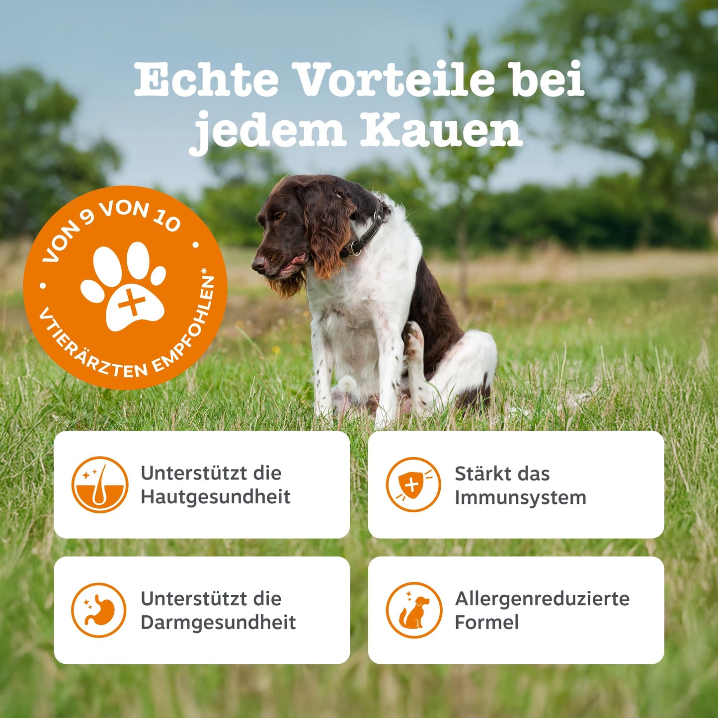 Zesty Paws Allergie- &amp; Immunitäts-Kauartikel | Nahrungsergänzungsmittel für Hunde | Für eine gesunde Körperfunktion 