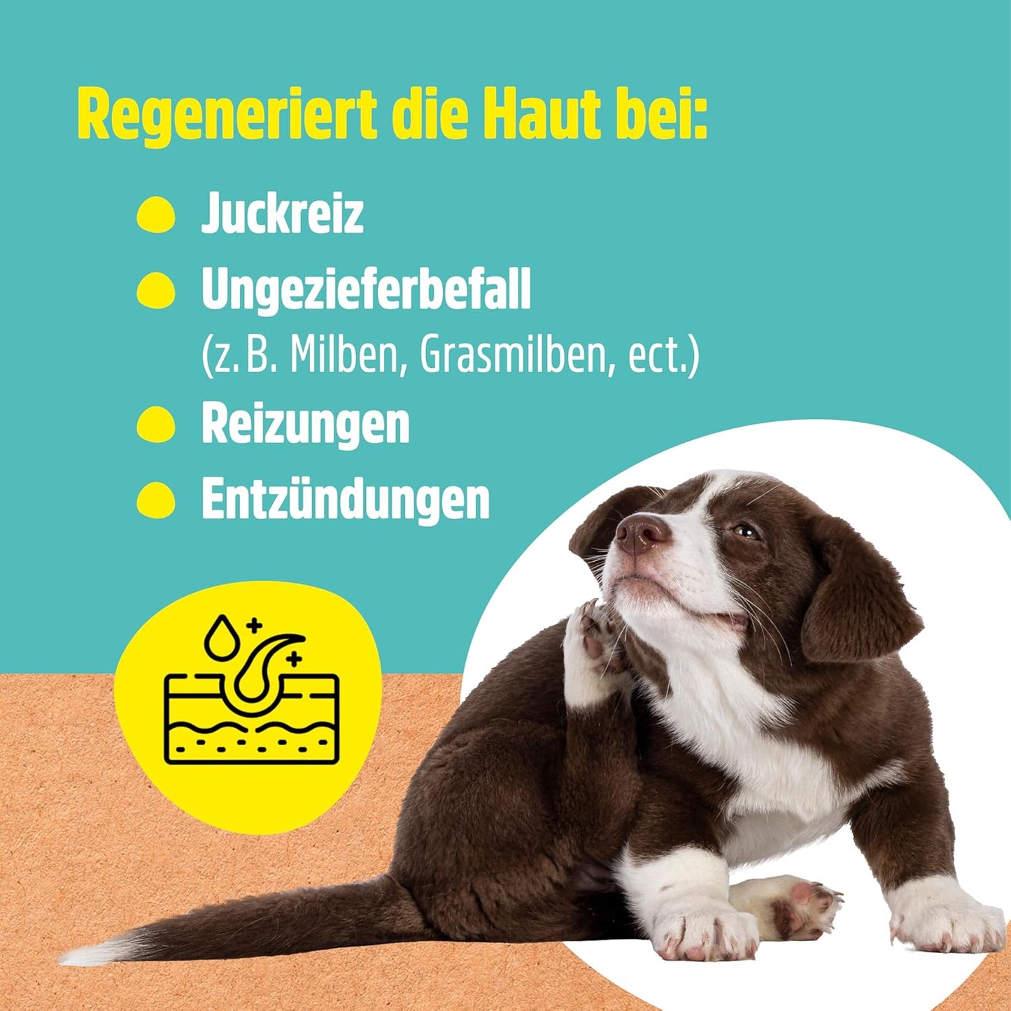 Green Hero Tierpflege für Hunde und Katzen – Hautpflege gegen Juckreiz 