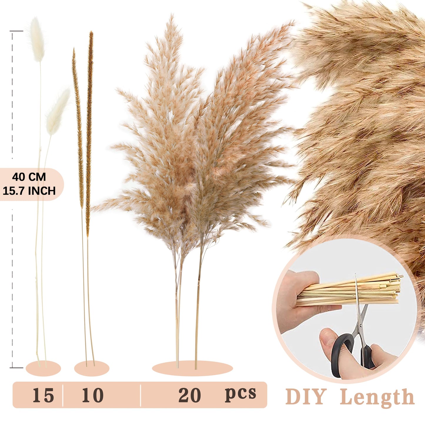 Pampasgras Getrocknet - Natürlich, Braun, Trockenblumen Strauß Dried Flowers, für Heim Decor 