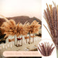 Pampasgras Getrocknet - Natürlich, Braun, Trockenblumen Strauß Dried Flowers, für Heim Decor 