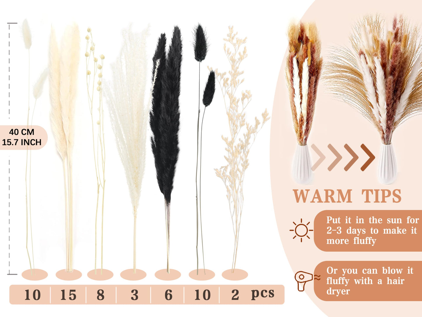 Pampasgras Getrocknet - Natürlich, Braun, Trockenblumen Strauß Dried Flowers, für Heim Decor 
