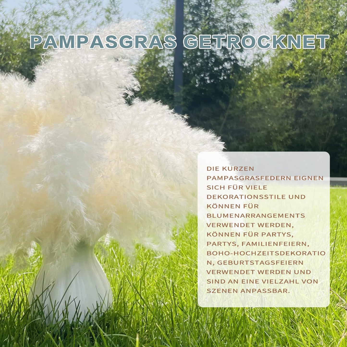 Getrocknetes Pampasgras, 60 Stück, natürliche Trockenblumen zur Dekoration, Schilfblumenstrauß 