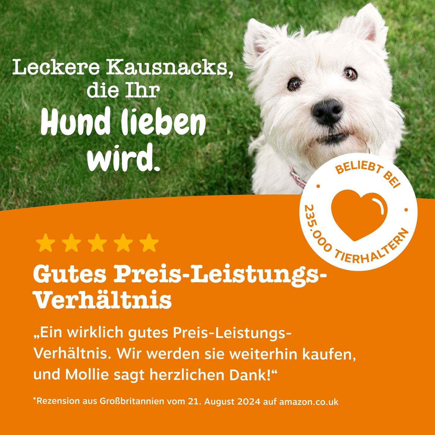 Zesty Paws Allergie- &amp; Immunitäts-Kauartikel | Nahrungsergänzungsmittel für Hunde | Für eine gesunde Körperfunktion 