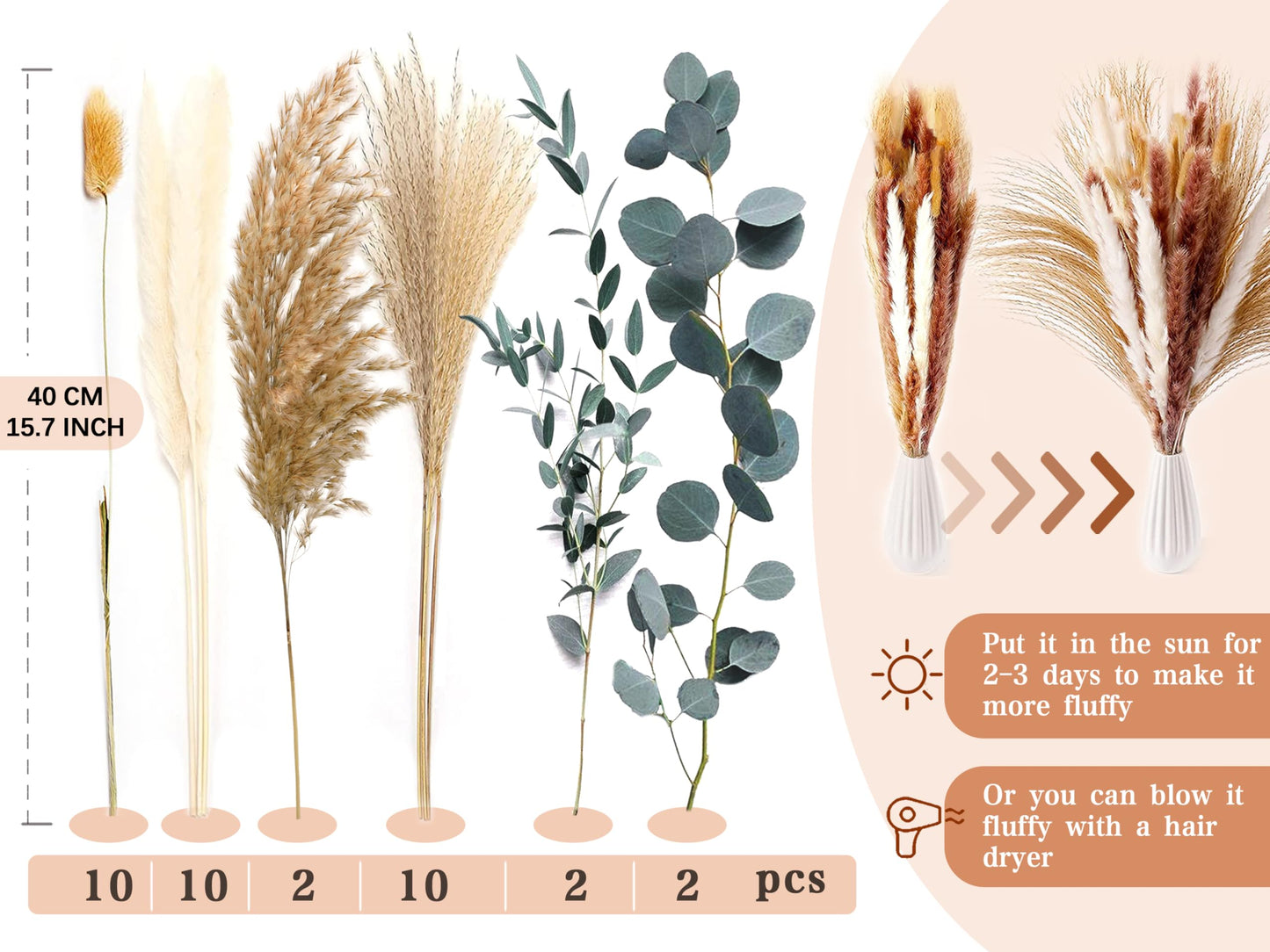 Pampasgras Getrocknet - Natürlich, Braun, Trockenblumen Strauß Dried Flowers, für Heim Decor 