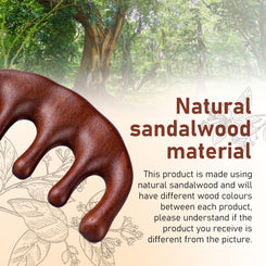 Kopfhaut Massagekamm Holzkamm, natürlicher Körpermassage Werkzeug