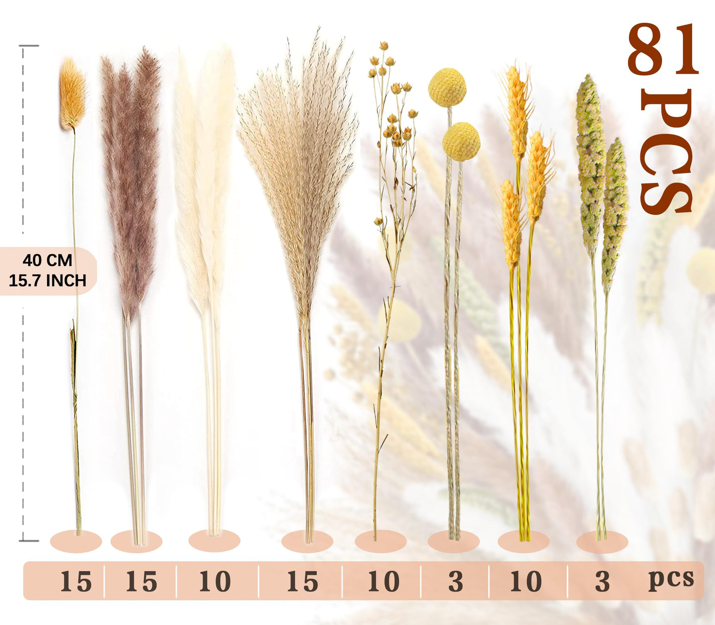 Pampasgras Getrocknet - Natürlich, Braun, Trockenblumen Strauß Dried Flowers, für Heim Decor 