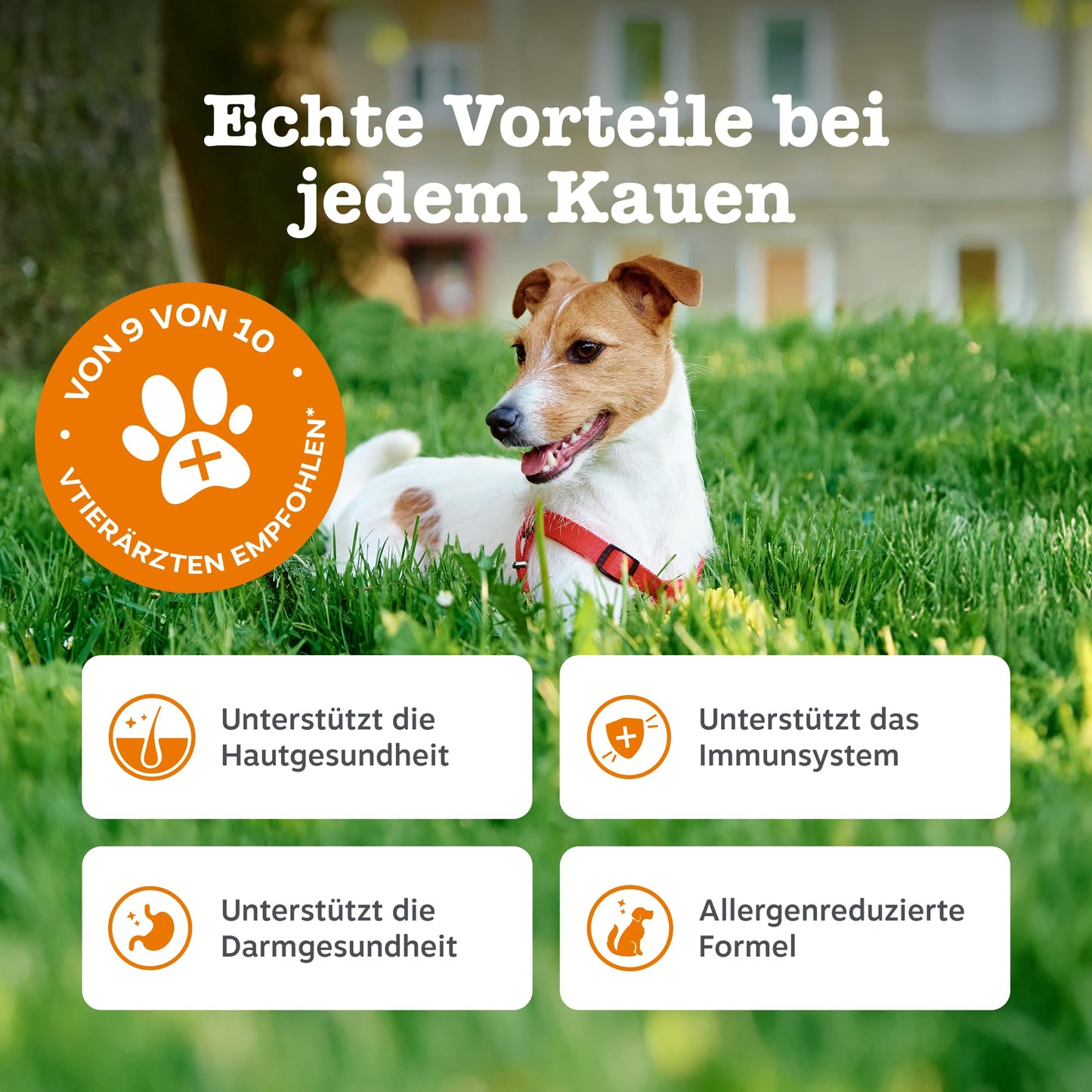 Zesty Paws Allergie- &amp; Immunitäts-Kauartikel | Nahrungsergänzungsmittel für Hunde | Für eine gesunde Körperfunktion 
