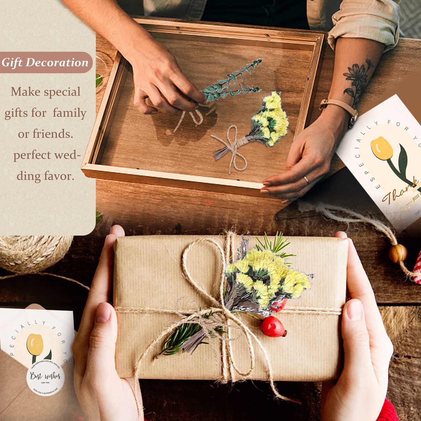 Pampasgras Getrocknet - Natürlich, Braun, Trockenblumen Strauß Dried Flowers, für Heim Decor 