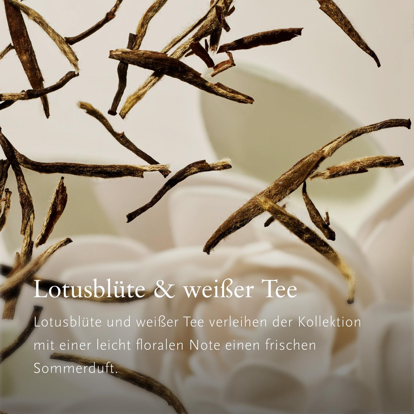 RITUALS Geschenkset, vier Hautpflegeprodukte mit Lotusblüte und Weißem Tee – Bade-Geschenkbox 