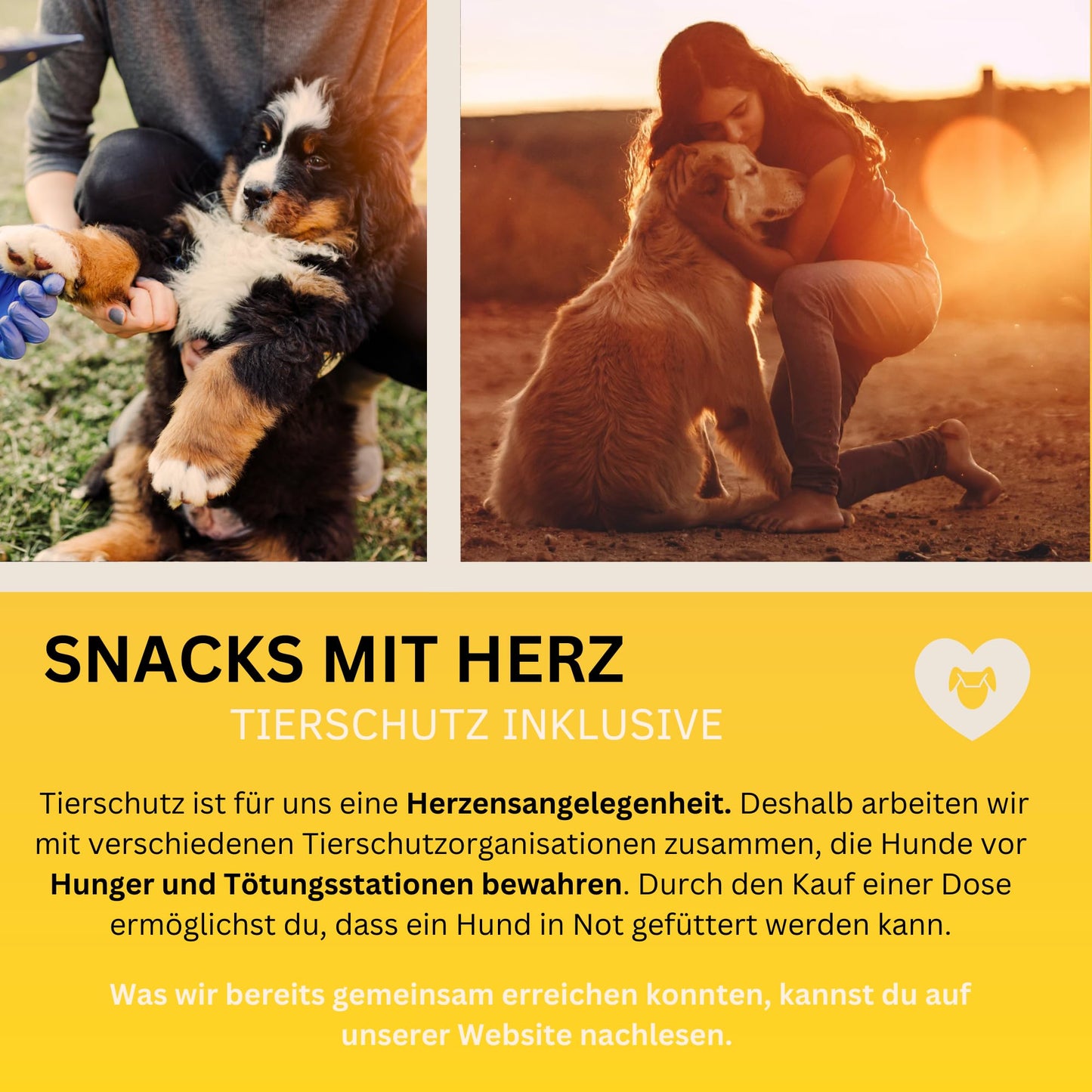Haut- und Felltropfen mit Algenöl für Hunde, 100 % natürlich 