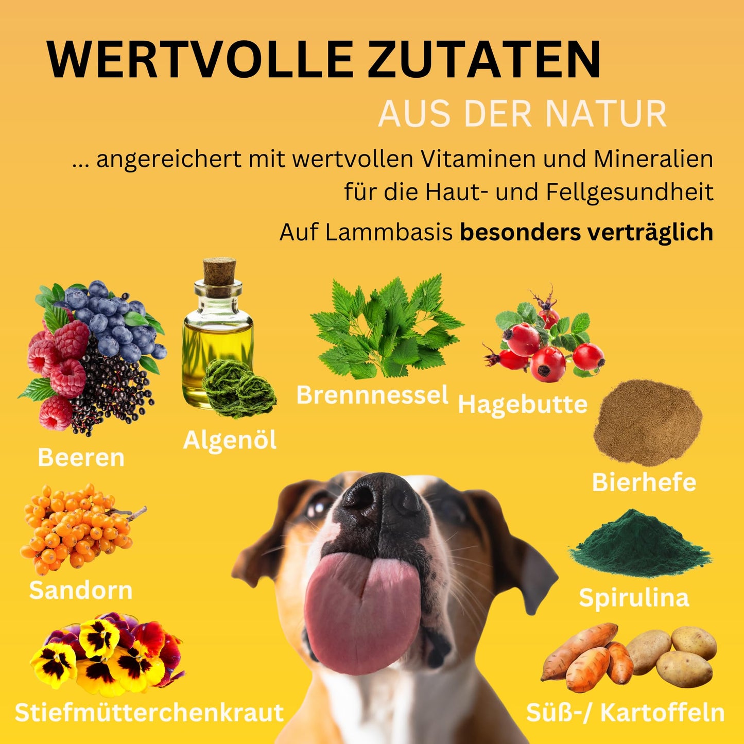 Haut- und Felltropfen mit Algenöl für Hunde, 100 % natürlich 