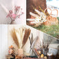 Pampasgras Getrocknet - Natürlich, Braun, Trockenblumen Strauß Dried Flowers, für Heim Decor 