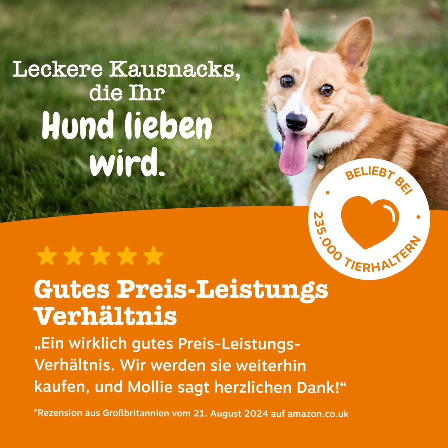 Zesty Paws Allergie- &amp; Immunitäts-Kauartikel | Nahrungsergänzungsmittel für Hunde | Für eine gesunde Körperfunktion 
