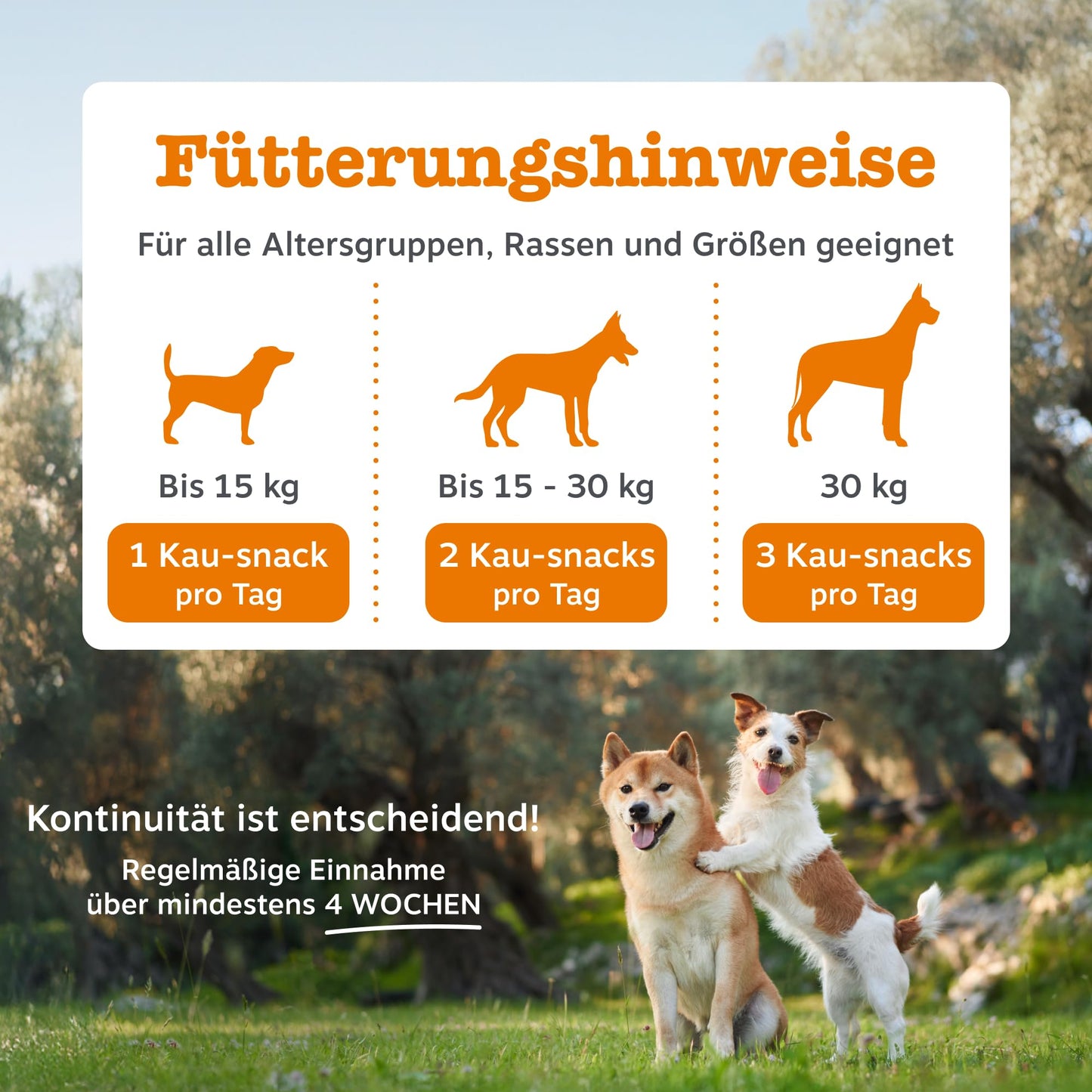 Zesty Paws Allergie- &amp; Immunitäts-Kauartikel | Nahrungsergänzungsmittel für Hunde | Für eine gesunde Körperfunktion 