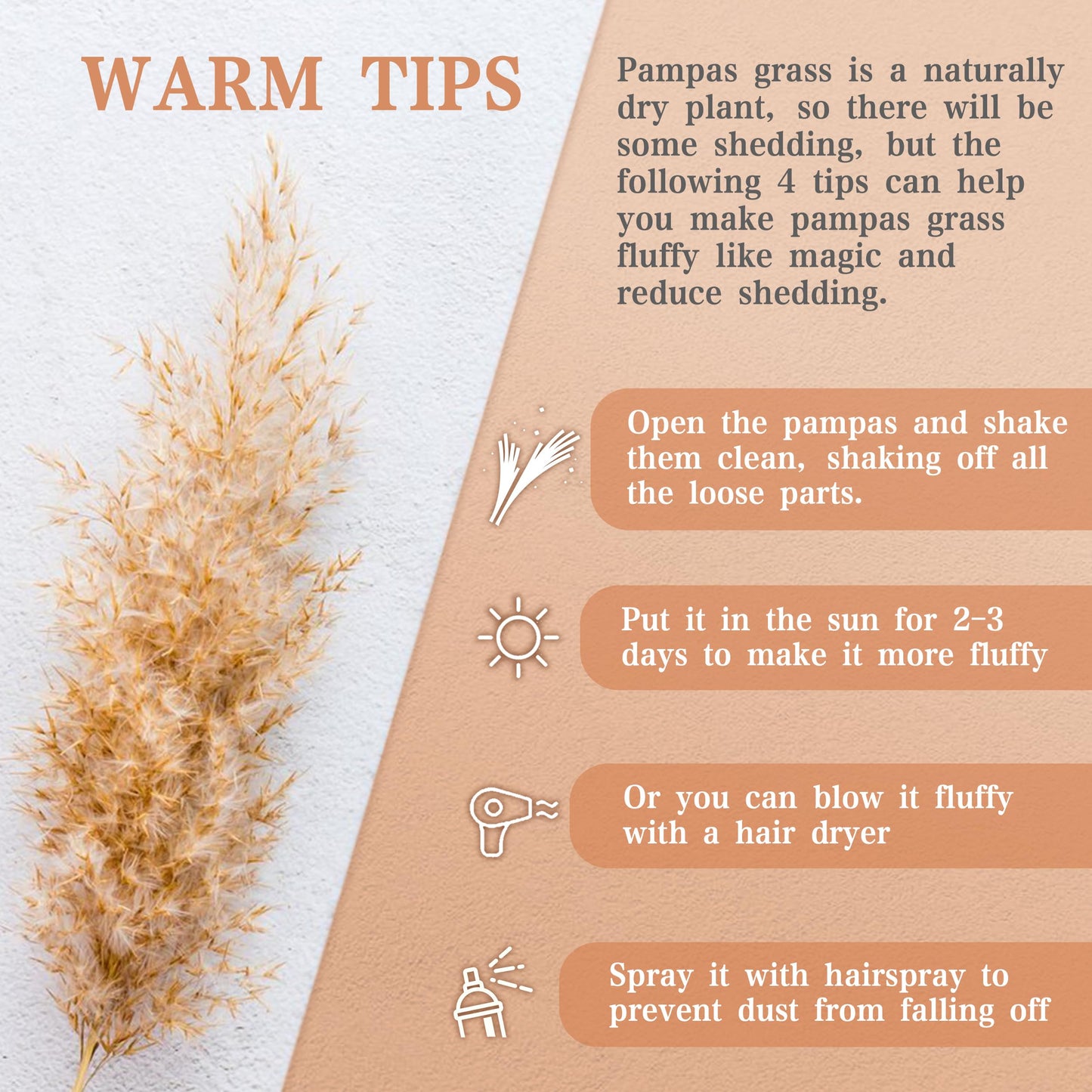 Pampasgras Getrocknet - Natürlich, Braun, Trockenblumen Strauß Dried Flowers, für Heim Decor 