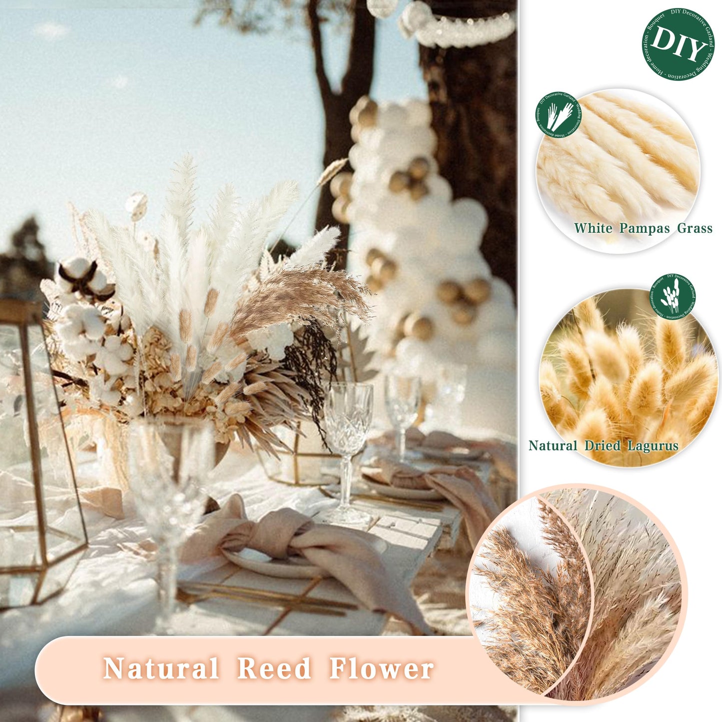 Pampasgras Getrocknet - Natürlich, Braun, Trockenblumen Strauß Dried Flowers, für Heim Decor 