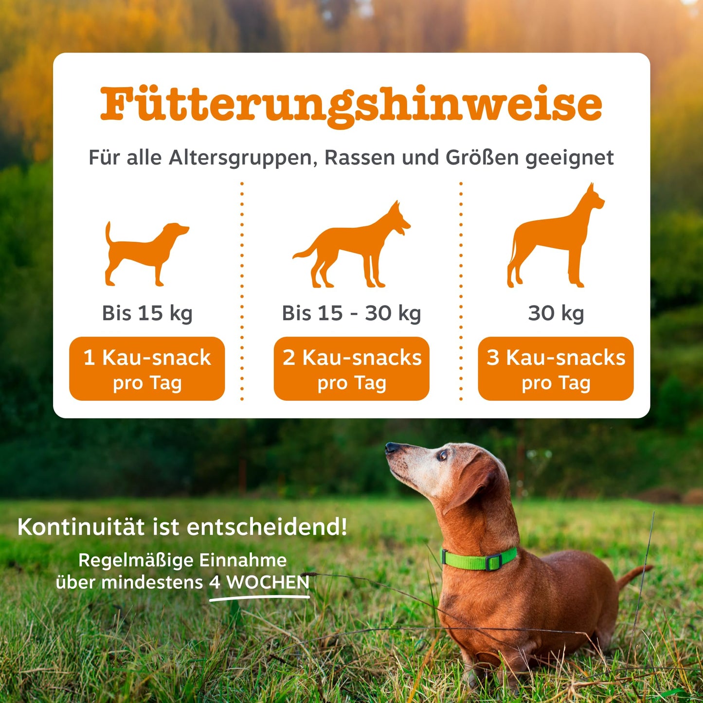 Zesty Paws Allergie- &amp; Immunitäts-Kauartikel | Nahrungsergänzungsmittel für Hunde | Für eine gesunde Körperfunktion 