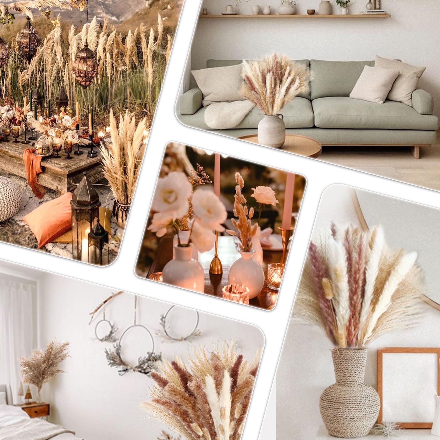 Pampasgras Getrocknet - Natürlich, Braun, Trockenblumen Strauß Dried Flowers, für Heim Decor 