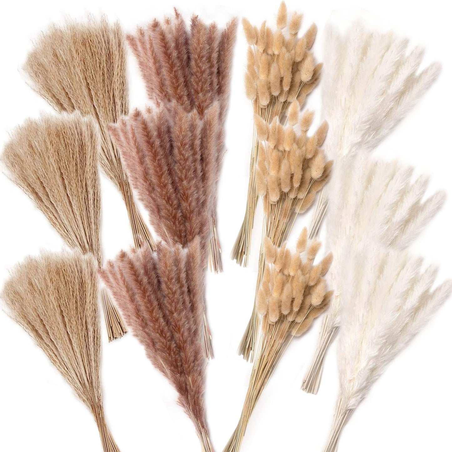 Pampasgras Getrocknet - Natürlich, Braun, Trockenblumen Strauß Dried Flowers, für Heim Decor 