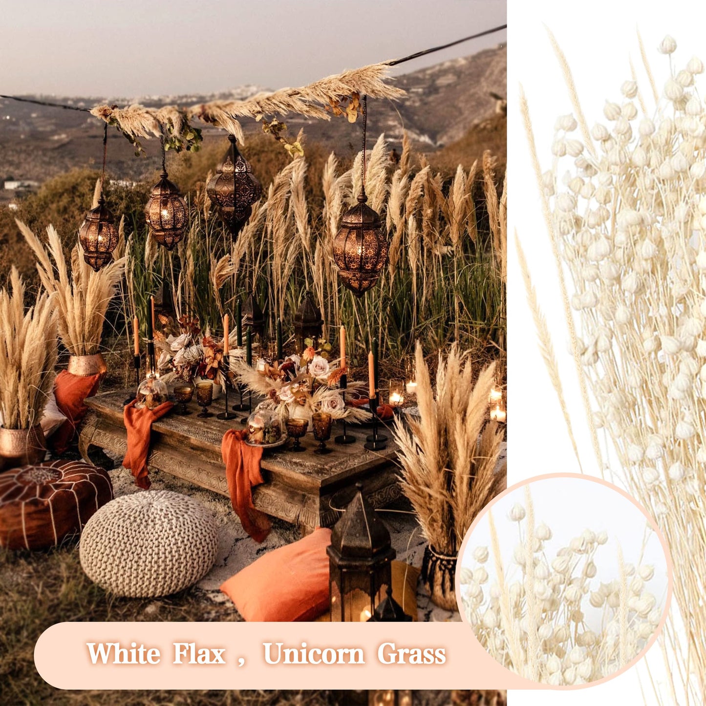 Pampasgras Getrocknet - Natürlich, Braun, Trockenblumen Strauß Dried Flowers, für Heim Decor 