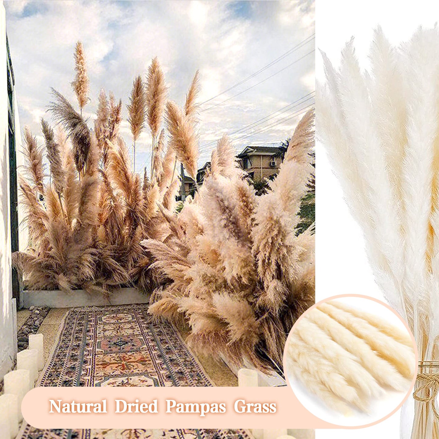 Pampasgras Getrocknet - Natürlich, Braun, Trockenblumen Strauß Dried Flowers, für Heim Decor 