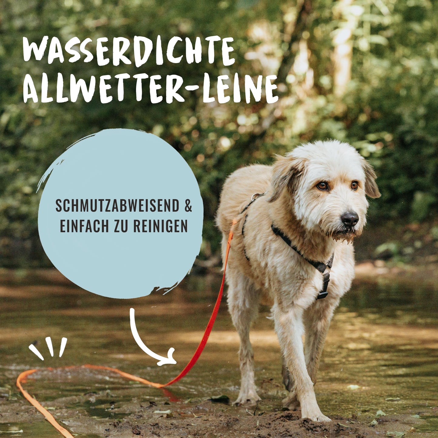 Rudelkönig Schleppleine 5m für Hunde - Robuste &amp; wetterfeste Hundeleine für eine erfolgreiche Hundeerziehung 
