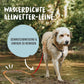 Rudelkönig Schleppleine 5m für Hunde - Robuste &amp; wetterfeste Hundeleine für eine erfolgreiche Hundeerziehung 