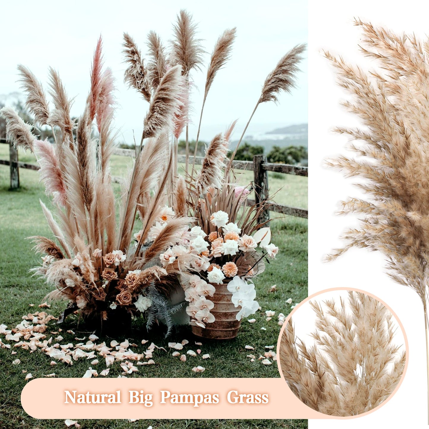Pampasgras Getrocknet - Natürlich, Braun, Trockenblumen Strauß Dried Flowers, für Heim Decor 